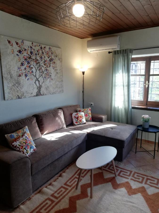 Endless View Country House Μακρινίτσα Εξωτερικό φωτογραφία